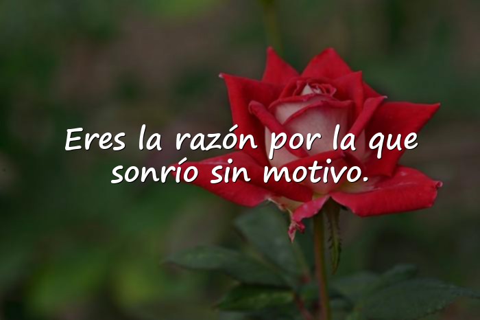 Imágenes mensaje de amor para mi novia - 2