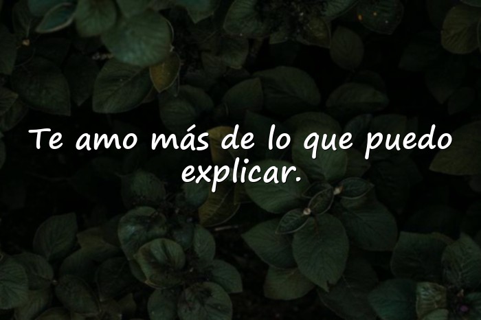 Imágenes mensaje de amor para mi novia - 23
