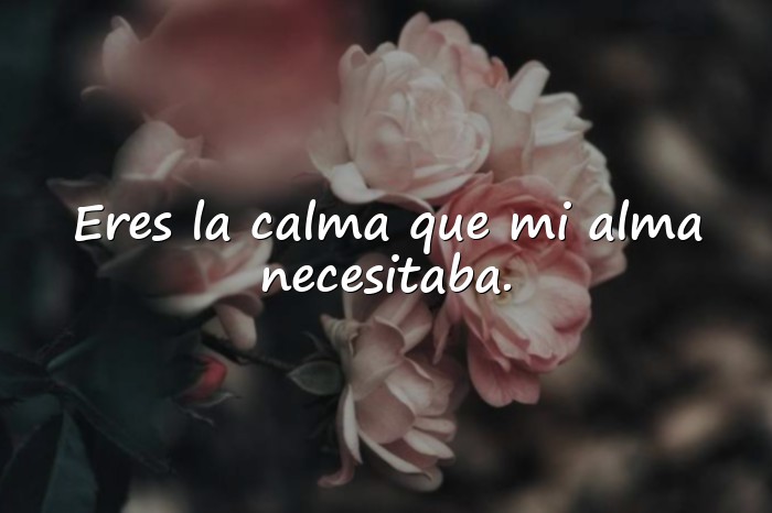 Imágenes mensaje de amor para mi novia - 18