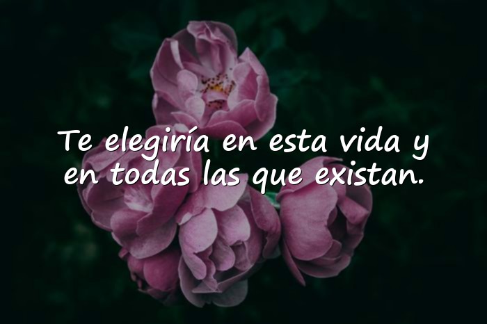 Imágenes mensaje de amor para mi novia - 16