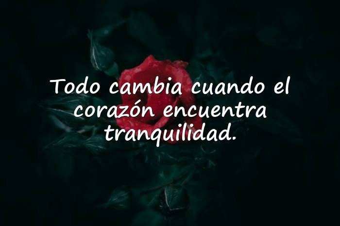 Imágenes mensajes bonitos - 10