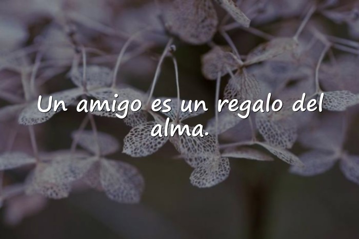 Imágenes mensajes de amistad - 11