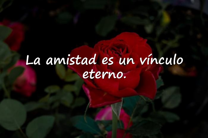 Imágenes mensajes de amistad - 8