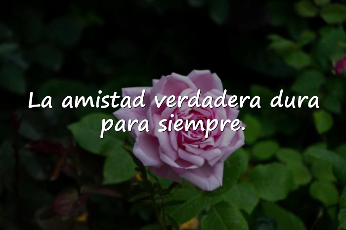 Imágenes mensajes de amistad - 1