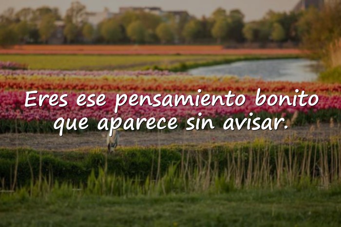 Imágenes mensajes de amor - 15