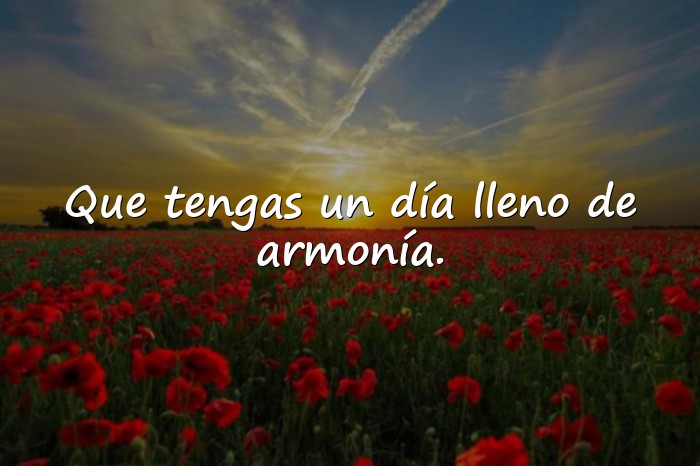 Imágenes mensajes de bendiciones para el día de hoy - 16