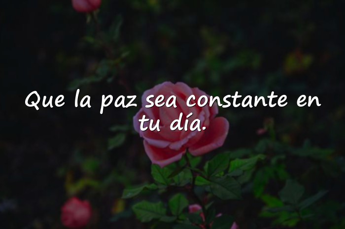 Imágenes mensajes de bendiciones para el día de hoy - 16