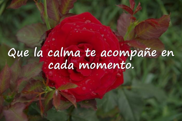 Imágenes mensajes de bendiciones para el día de hoy - 6