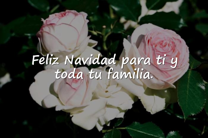 Imágenes mensajes de feliz navidad - 17