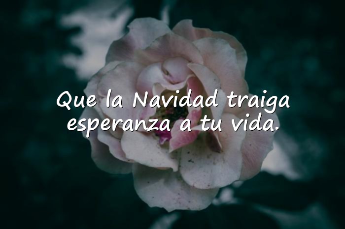 Imágenes mensajes de feliz navidad - 13