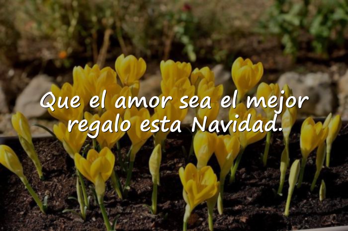 Imágenes mensajes de feliz navidad - 4