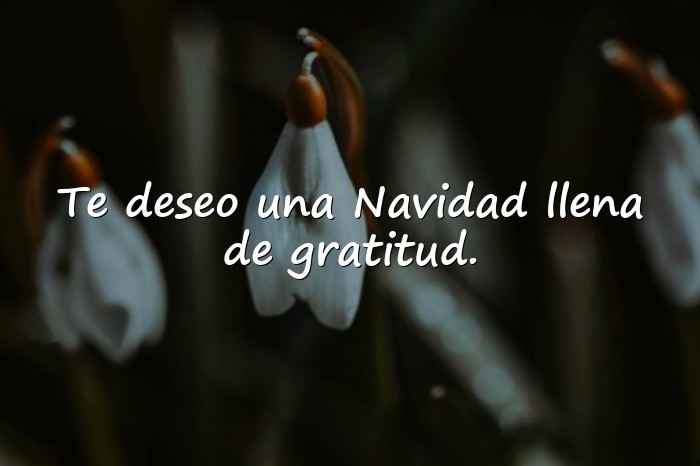 Imágenes mensajes de feliz navidad - 16