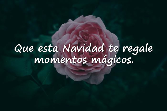Imágenes mensajes de feliz navidad - 11