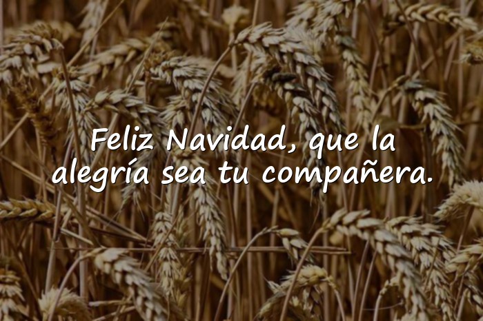 Imágenes mensajes de feliz navidad - 6