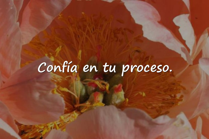 Imágenes mensajes de motivacion - 15
