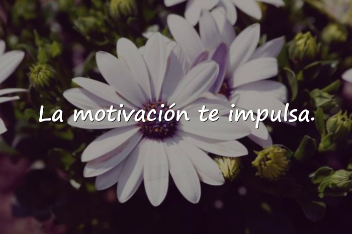 Imágenes mensajes de motivacion - 8