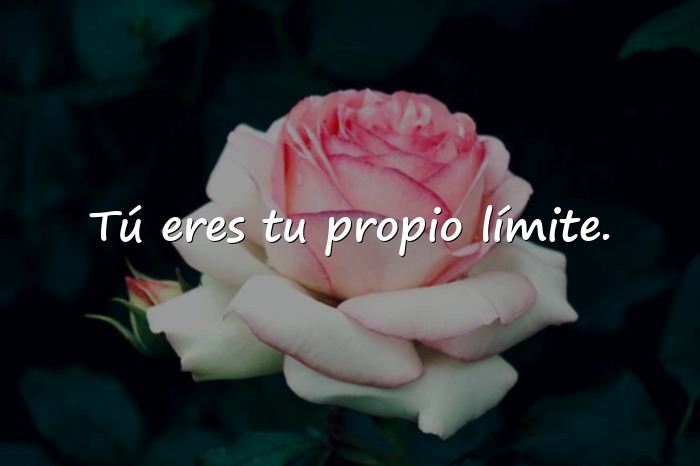 Imágenes mensajes de motivacion - 5