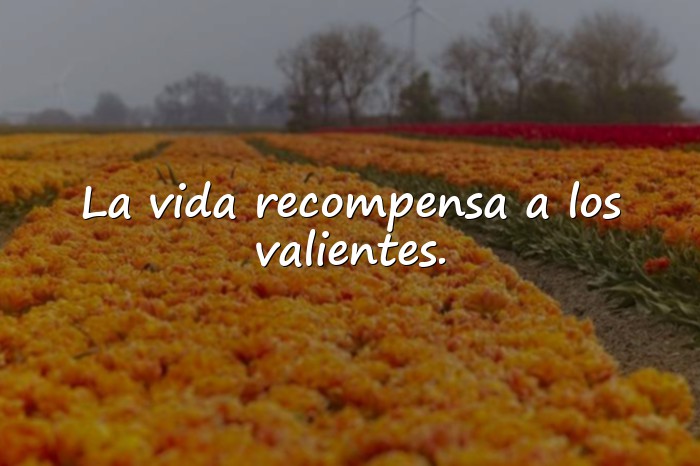 Imágenes mensajes de motivacion - 3