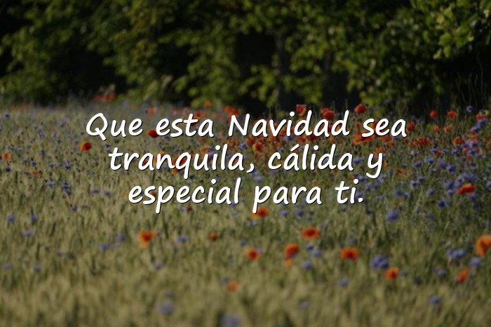 Imágenes mensajes de navidad - 11