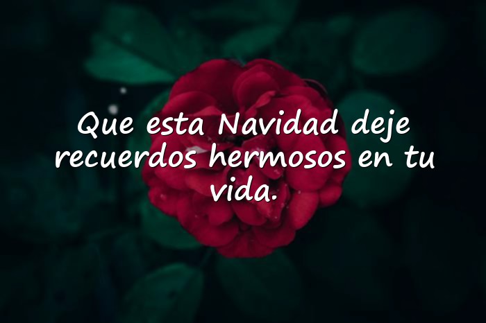 Imágenes mensajes de navidad - 1