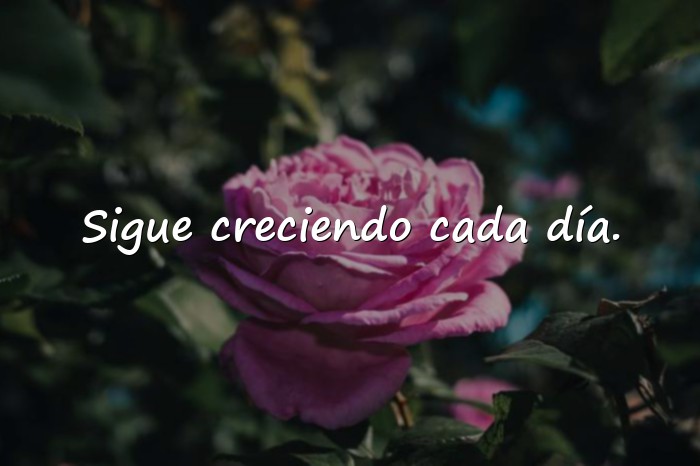 Imágenes mensajes motivacionales - 4