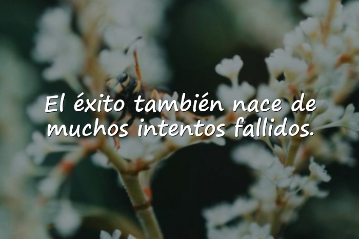 Imágenes mensajes motivadores - 21
