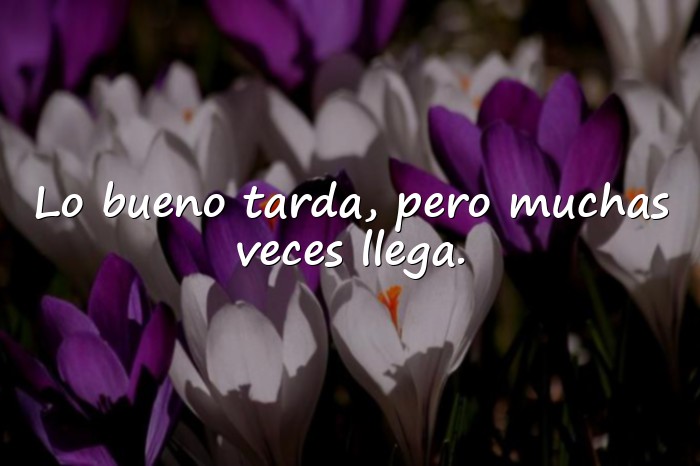 Imágenes mensajes motivadores - 12
