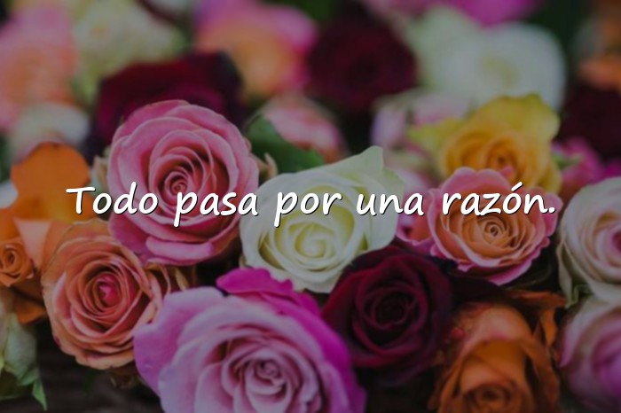 Imágenes mensajes positivos - 21
