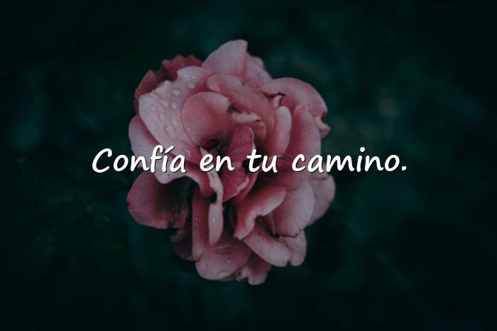 Imágenes mensajes positivos - 14