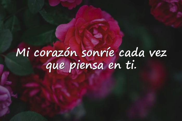 Imágenes palabras bonitas de amor - 15