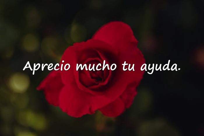 Imágenes palabras de agradecimiento - 3