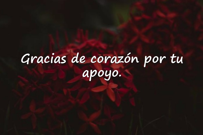 Imágenes palabras de agradecimiento - 25