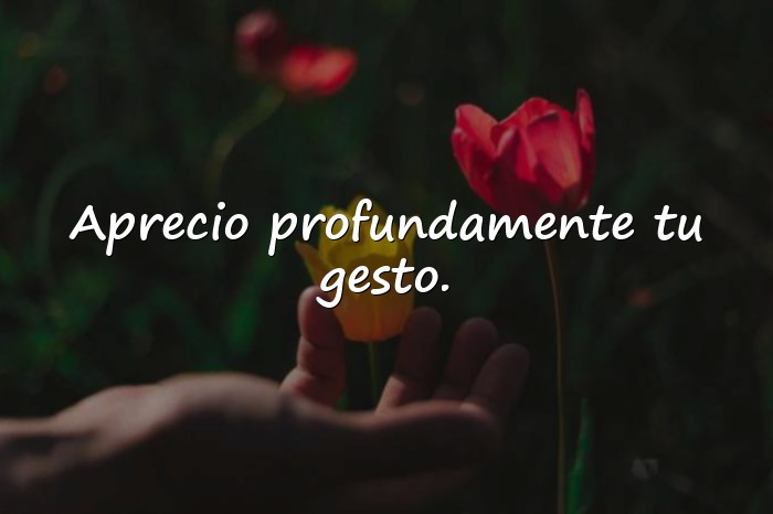 Imágenes palabras de agradecimiento - 23