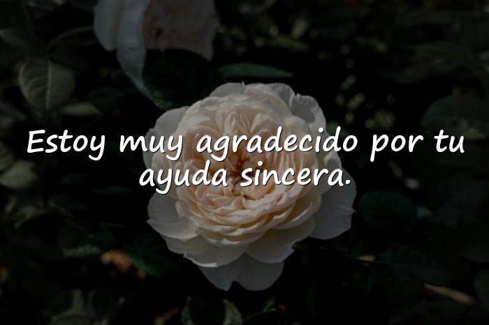 Imágenes palabras de agradecimiento - 17