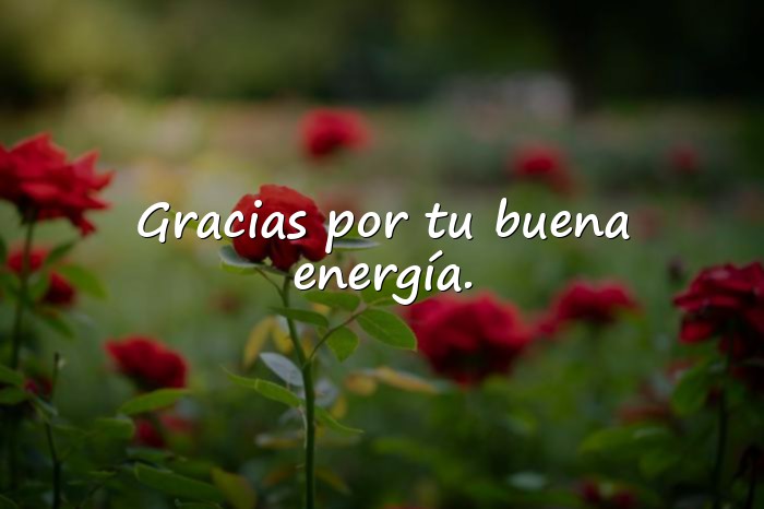 Imágenes palabras de agradecimiento - 14