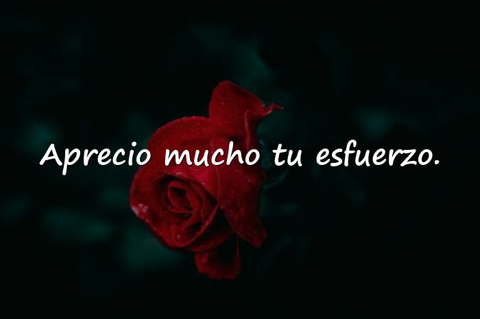 Imágenes palabras de agradecimiento - 10