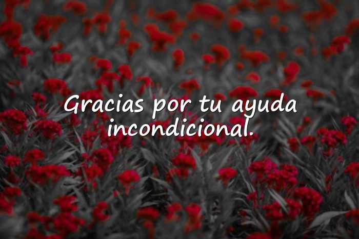 Imágenes palabras de agradecimiento - 6
