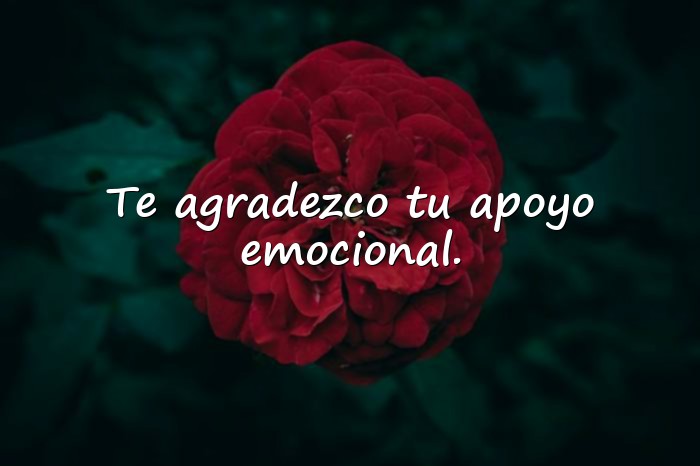 Imágenes palabras de agradecimiento - 3
