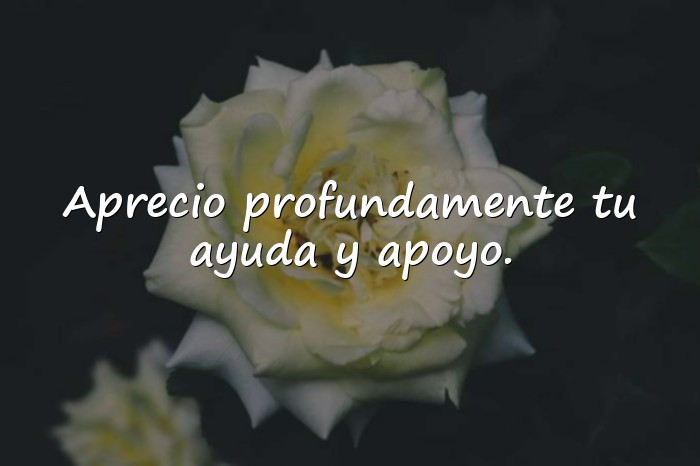 Imágenes palabras de agradecimiento por apoyo - 16