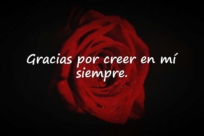Imágenes palabras de agradecimiento por apoyo - 12