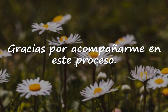 Imágenes palabras de agradecimiento por apoyo - 2