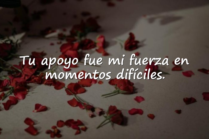 Imágenes palabras de agradecimiento por apoyo - 23