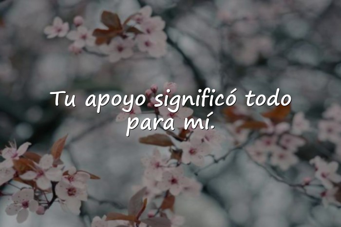 Imágenes palabras de agradecimiento por apoyo - 9