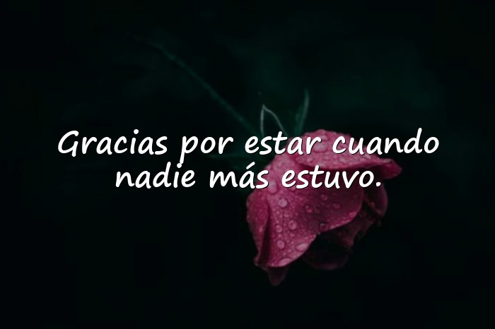 Imágenes palabras de agradecimiento por apoyo - 4
