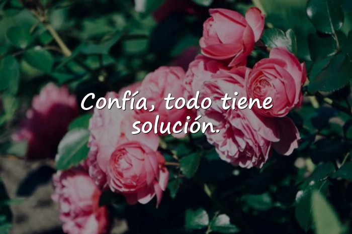 Imágenes palabras de aliento - 2
