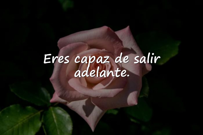 Imágenes palabras de aliento - 22