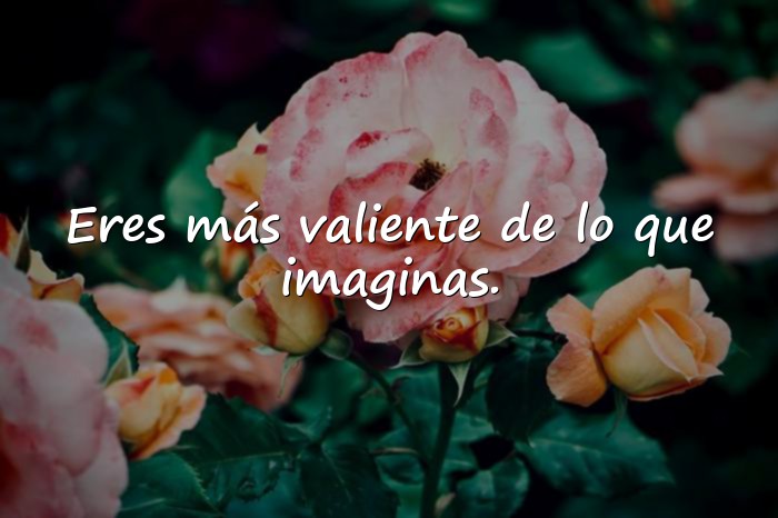 Imágenes palabras de aliento - 18