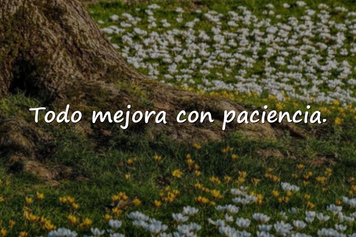 Imágenes palabras de aliento - 5