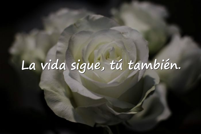 Imágenes palabras de aliento - 3