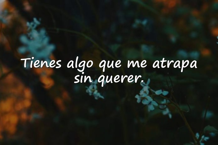 Imágenes palabras de amor - 1